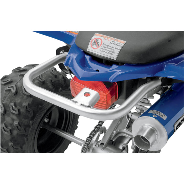 DG PERFORMANCE 0502-0250 59-4525 Baja Ultra-Lite Grab Bars Grab Bar - Raptor 250