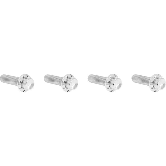 ARLEN NESS 2401-1756 300-977 Bolt Kit - Transmission Top Cover - 12-Point - Titanium - Polished