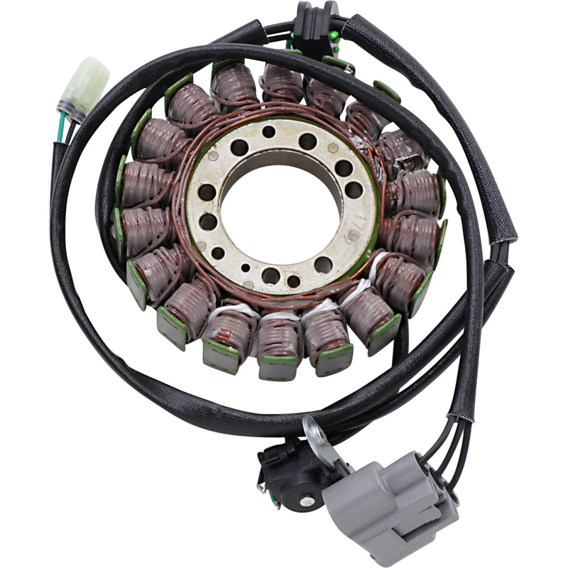 Rick's Motorsport Electric Stator - 21-036 Triumph Speed 2014-2017
