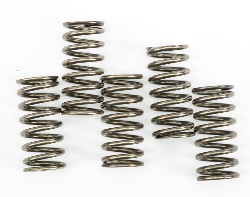 EBC Clutch Springs - CSK237 KTM 390 2015