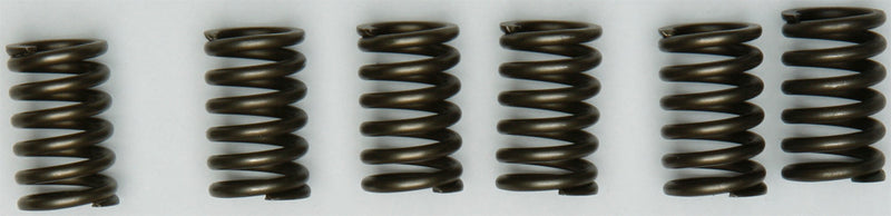 Ebc 15-17131 CSK131 CLUTCH SPRINGS CSK131