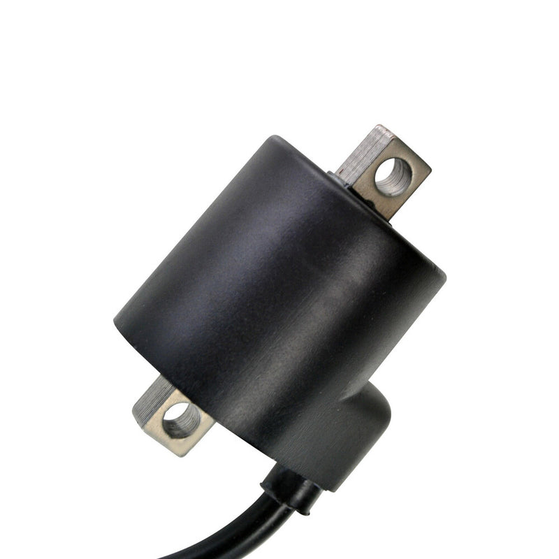 Rm Stator 97-0057 RM06035 EXTERNAL IGNITION COIL