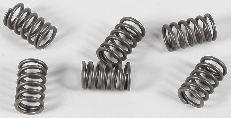 EBC Clutch Springs - CSK161 KTM 1190 2008-2012