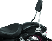 Kuryakyn 6583 Sissy Bar For Dyna Chrome - User 1