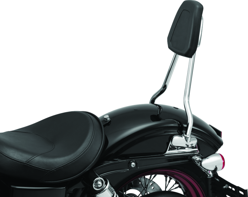 Kuryakyn 6583 Sissy Bar For Dyna Chrome - User 1