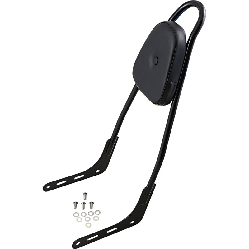 Motherwell Skull Sissy Bar - 156T18-GB-SK-WP For Harley Softail 2018-2023