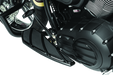 Kuryakyn 5763 Phantom Shift/brake Peg Black - User 1