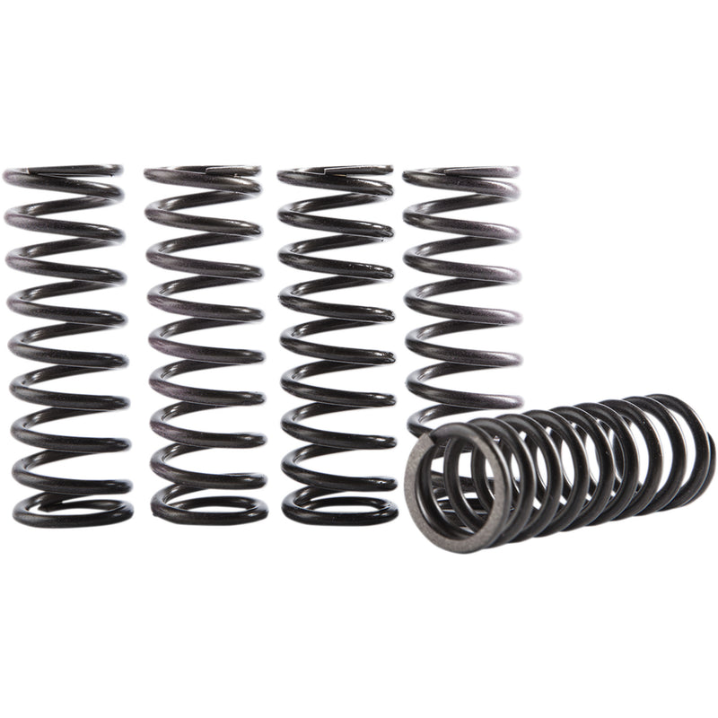 Hinson Racing Spring Kit - CS069-5-001 Yamaha WR 400 / YZ 400 / YFM660R Raptor 1998-2005