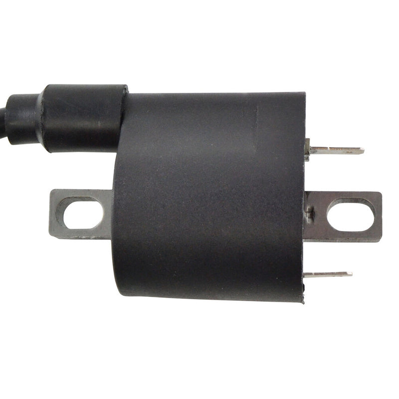 Rm Stator External Ignition Coil W Spark Plug CAP - RM06049 Yamaha Rhino / Viking 700 4x4 / Viking 2011-2018