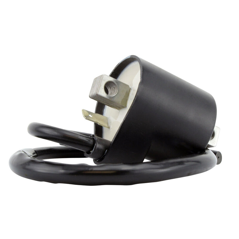Rm Stator 97-0057 RM06035 EXTERNAL IGNITION COIL