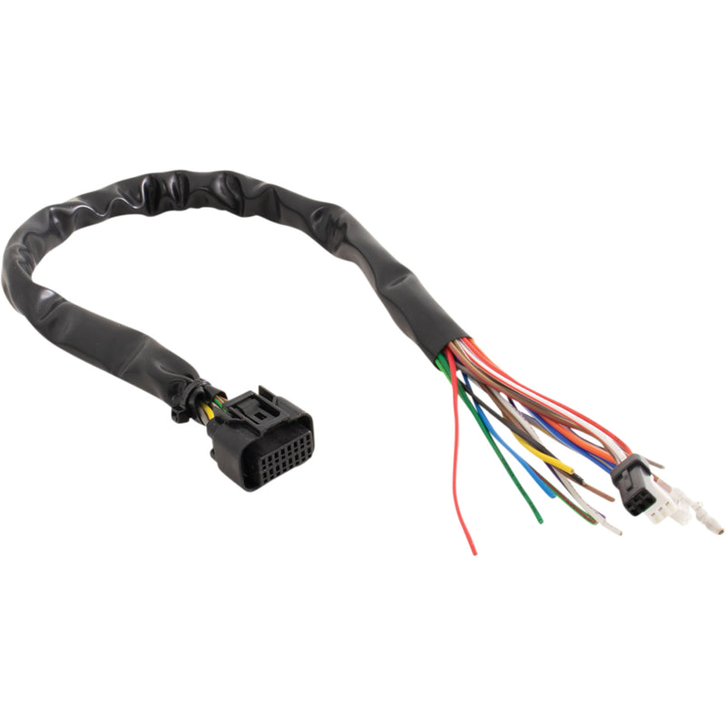 Koso North America Monkey Wire Harness - BZ001001 Honda Monkey 2019-2025
