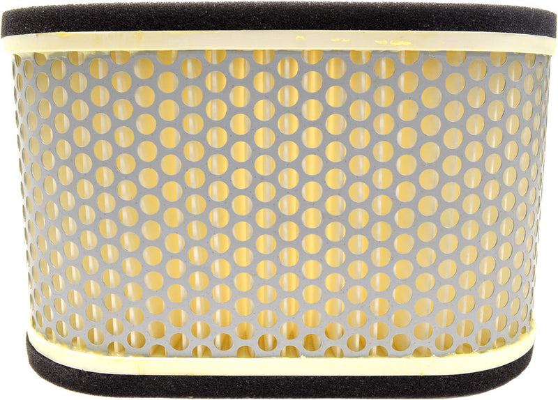 Emgo 78-9621 12-94462 AIR FILTER