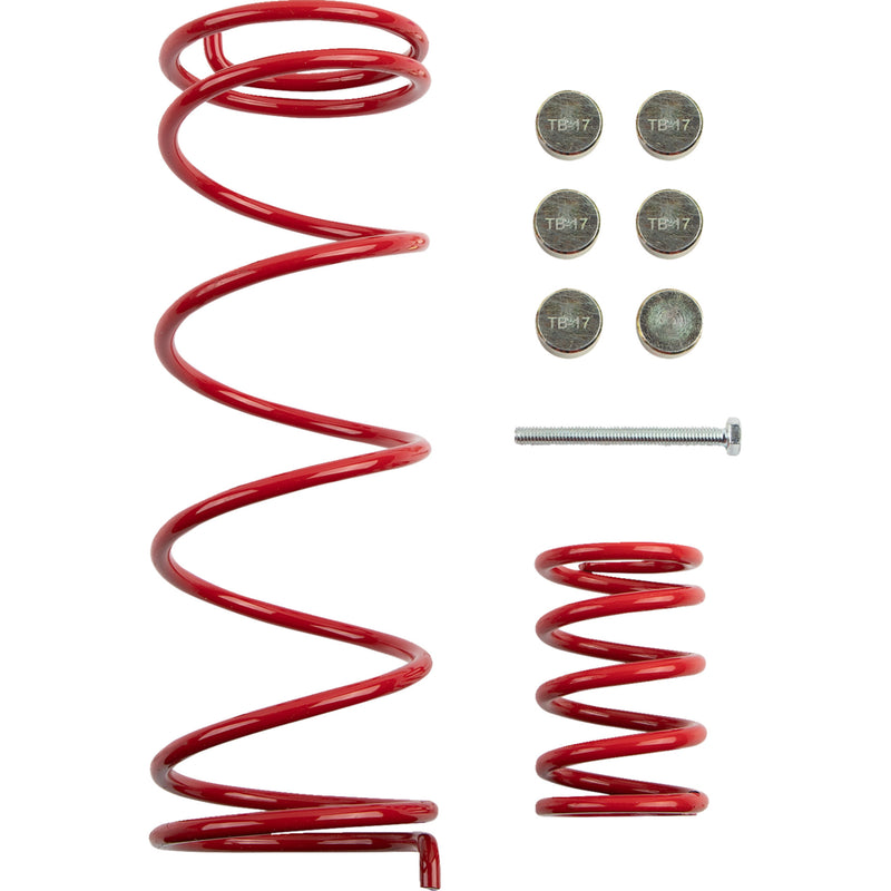Epi Clutch Kit - WE437767 CFMOTO 1000 Overland 2021
