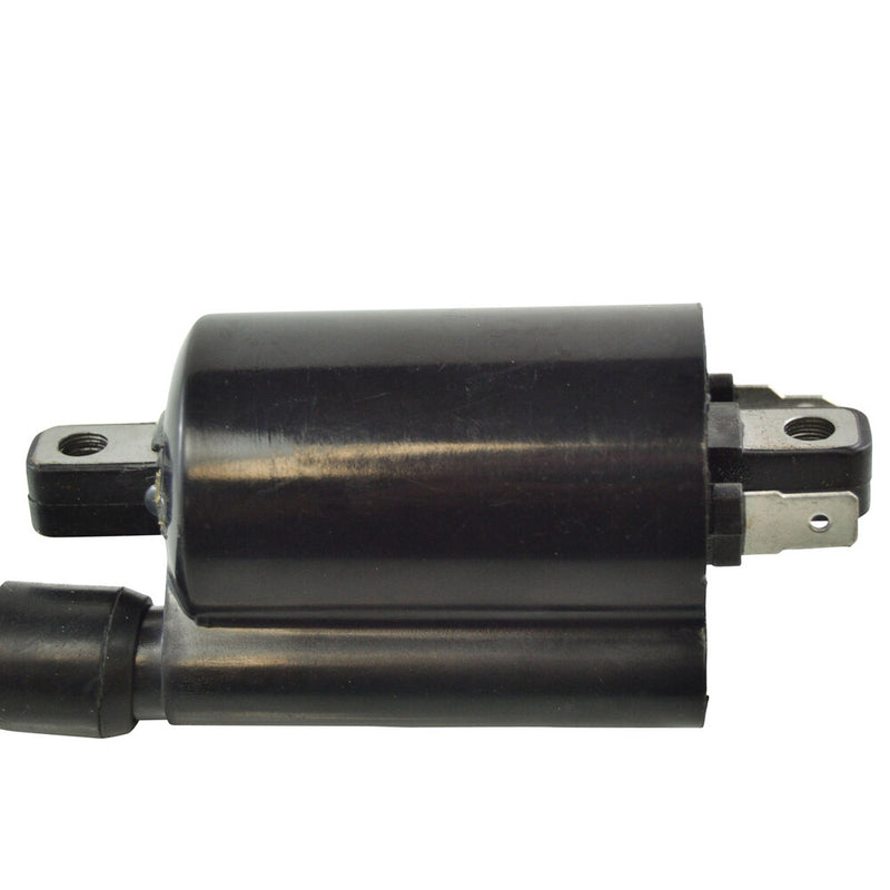 Rm Stator External Ignition Coil W Spark Plug CAP - RM06008 For Suzuki 200SE / DR200SE 1996-2009 | Yamaha 600 1990-1995