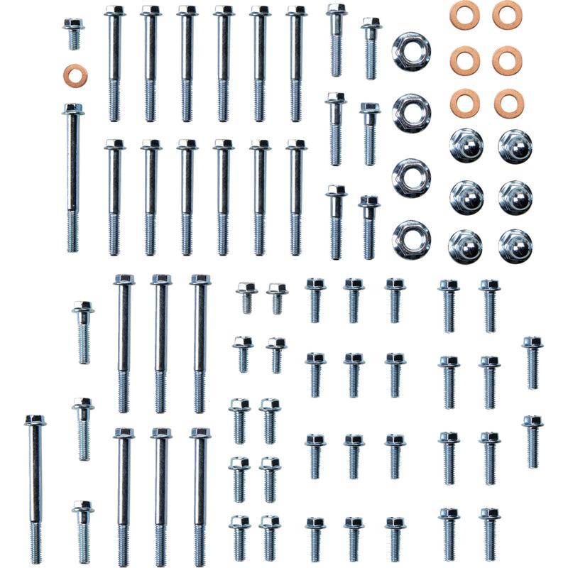 Bolt Engine Fastener Kit - E-R2-0108 Suzuki RM 250 2001-2008