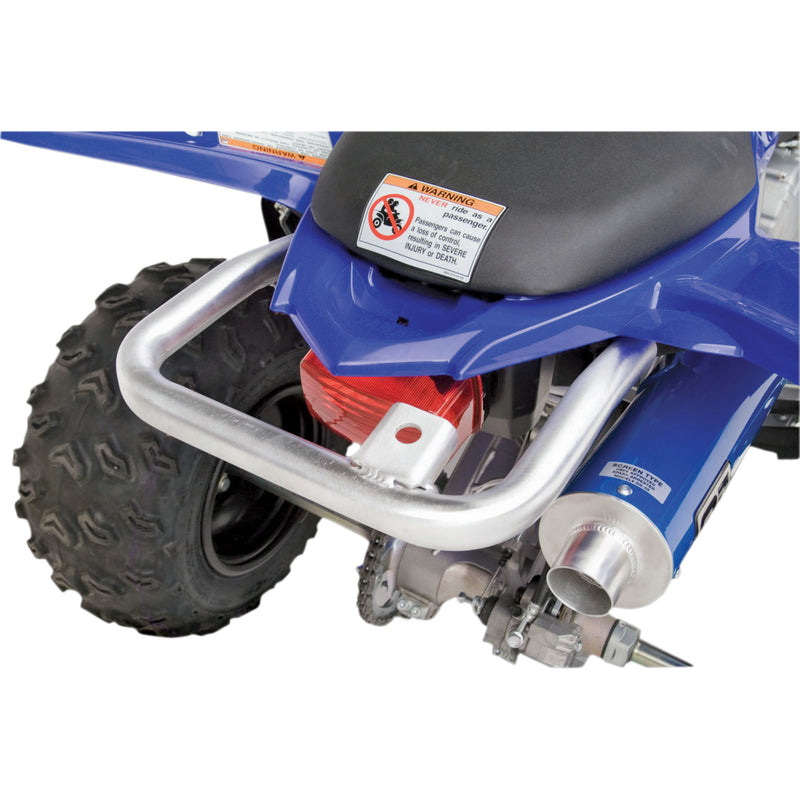 Dg Performance Grab Bar - 592-4525 Yamaha Raptor 2008-2013