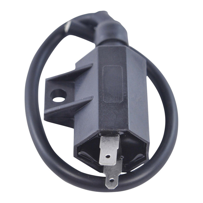 Rm Stator 97-0056 RM06030 EXTERNAL IGNITION COIL