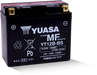 Yuasa Battery YUAM6212B Yuasa YT12B-BS Maintenance Free 12-Volt AGM Battery W/bottle - User 1