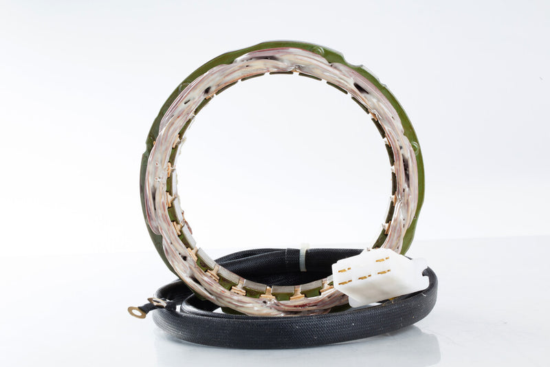 Rick's Motorsport Electric 27-21101 21-101 STATOR