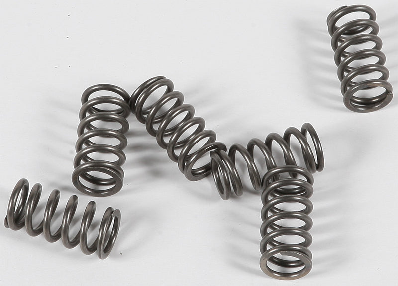 Ebc Clutch Springs - CSK139 Suzuki 1300BK King / 1300R Hayabusa 2008-2016