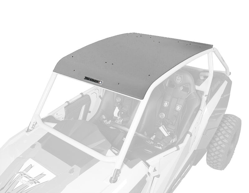 Pro Armor Asylum Roof Sparkle Silver Metallic - P141295SSM Polaris RZR 2014-2022