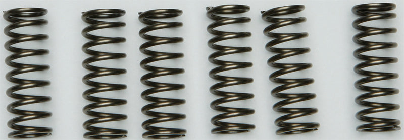 Ebc Clutch Springs - CSK205 Suzuki 600 / 750 2006-2010