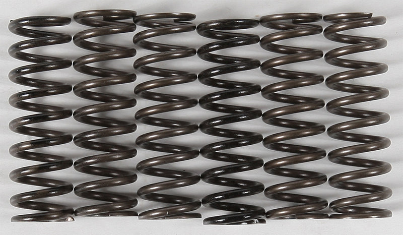 Hinson Racing 151-6304 CS216-6-0315 HIGH TEMP SPRINGS 6 SPRINGS