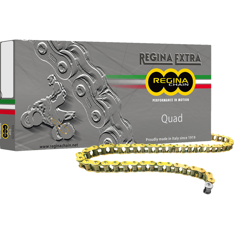 REGINA 1224-0060 135QUAD/1011 520 Quad Series 520 Quad - Drive Chain - 120 Links
