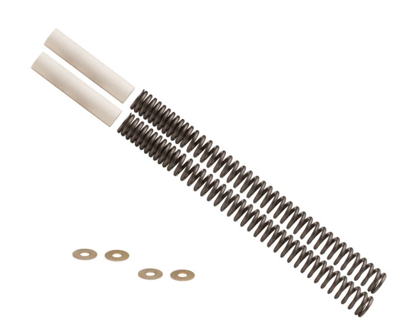 Burly Brand B28-1100 21-22 Rebel 1100 Fork Spring Kit - Standard Height - User 1