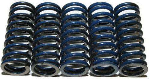 Hinson Racing High Temp Springs 5 Springs - CS294-5-0109 For KTM Dirt Bikes 1998-2018 | Honda CR125R / CRF250R / CRF250X 1987-2013