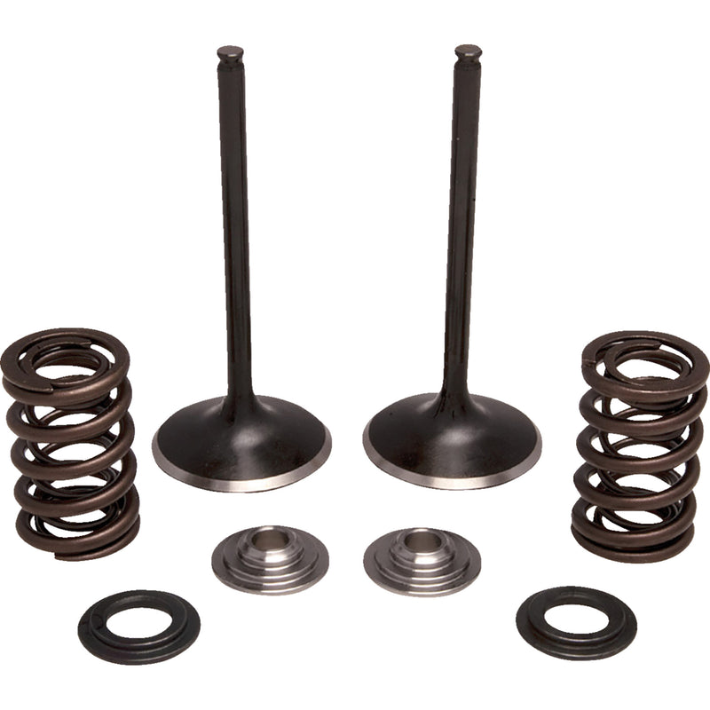 Moose Offroad Valve And Spring Kit - 0926-3470 Honda TRX450R 2004-2005