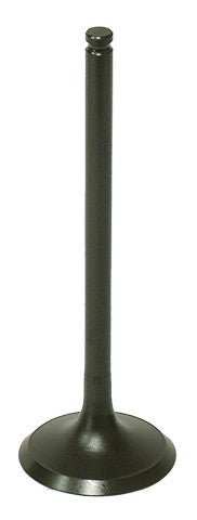 Bronco 183-09190E AU-09190E EXHAUST VALVE