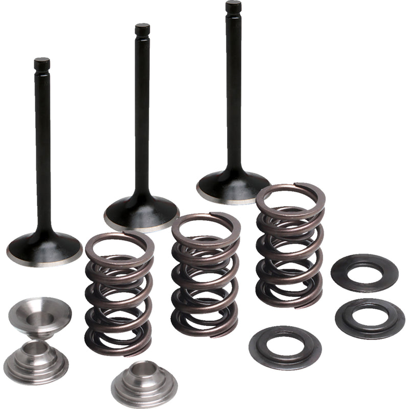 Moose Offroad Valve And Spring Kit - 0926-3472 Yamaha Raptor 2001-2005