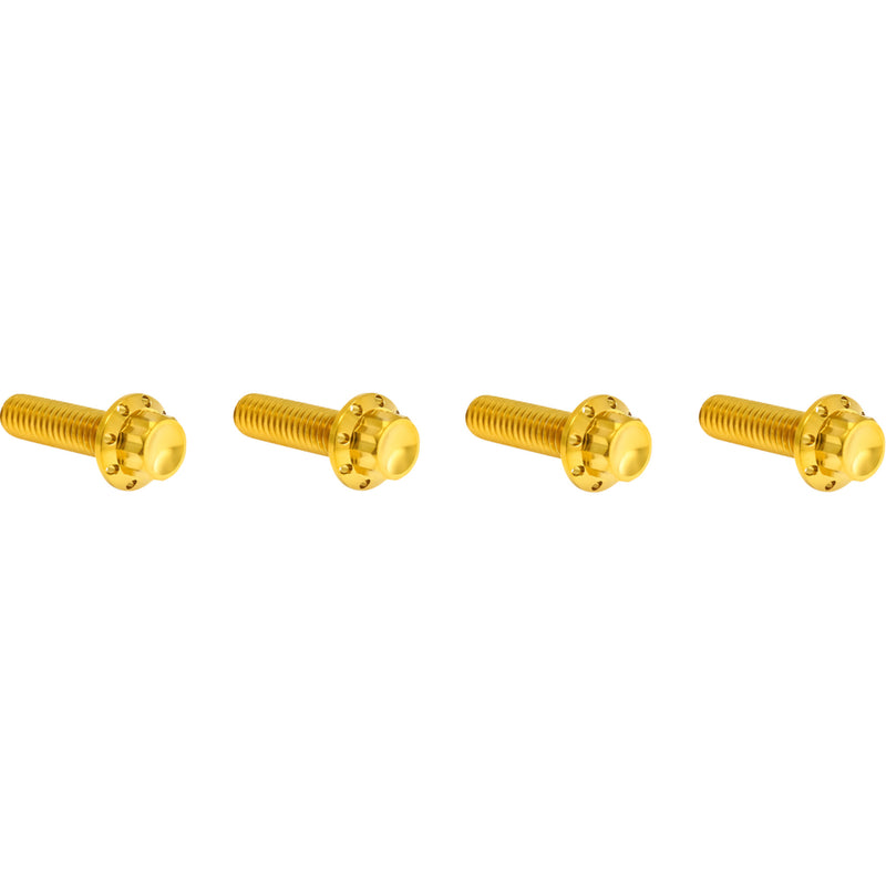 Arlen Ness Bolt - 300-979 For Harley Road Glide / Touring / Softail / Street Glide 2023-2026