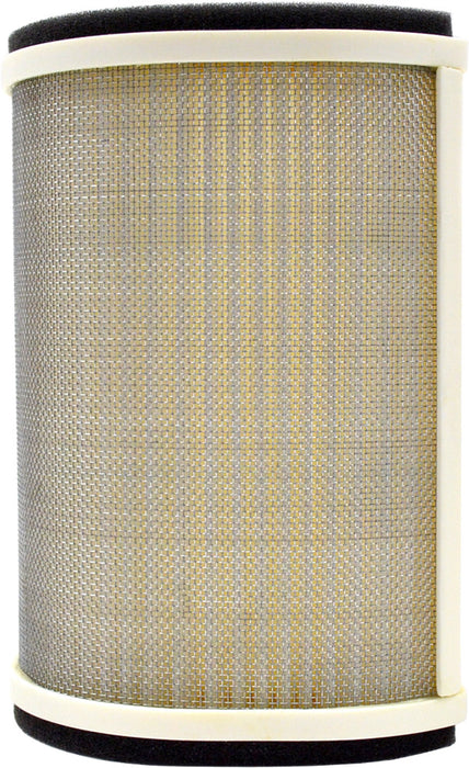 Emgo 78-9667 12-95842 AIR FILTER