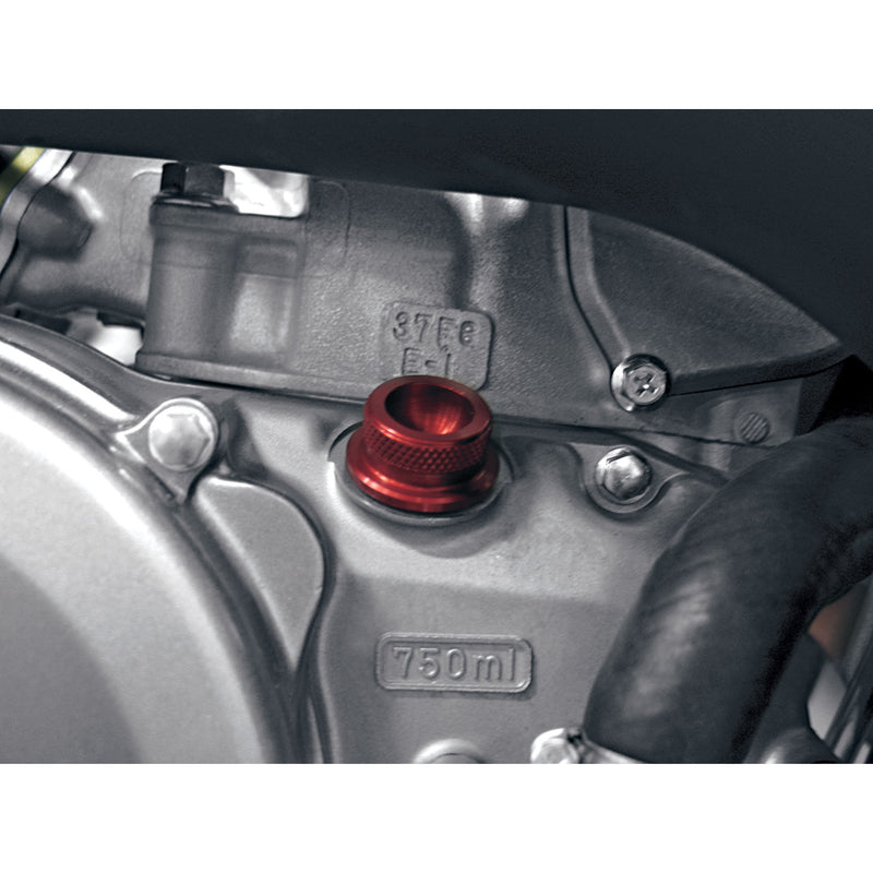 Pingel Cap - 62300 Kawasaki KLX400R / KLX400SR / KX 250 2003-2009