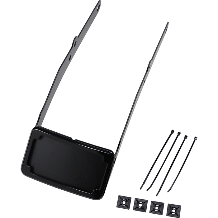 CYCLE VISIONS 2030-1443 CV4665B Curved License Plate Frame and Mount with License Plate Light LP Plate Frame & Mount with Tag Light - FLSL - Black
