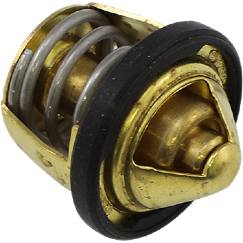 ALL BALLS 1902-1704 16-3000 Replacement Thermostat - Polaris