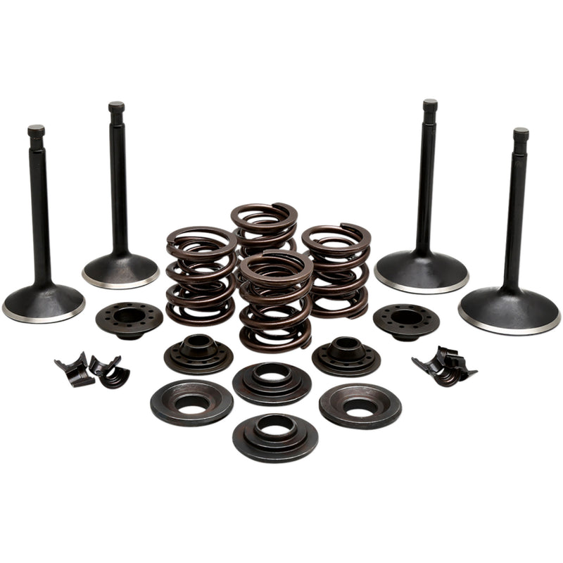 Kibblewhite Black Diamond™ Engine Kit - 20-22350 For Harley Sportster 1970-1983