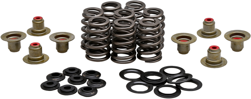 Kpmi 191-27022S 20-21215 BEEHIVE VALVE SPRING KIT .550 LIFT M8`17-24 NON VVT