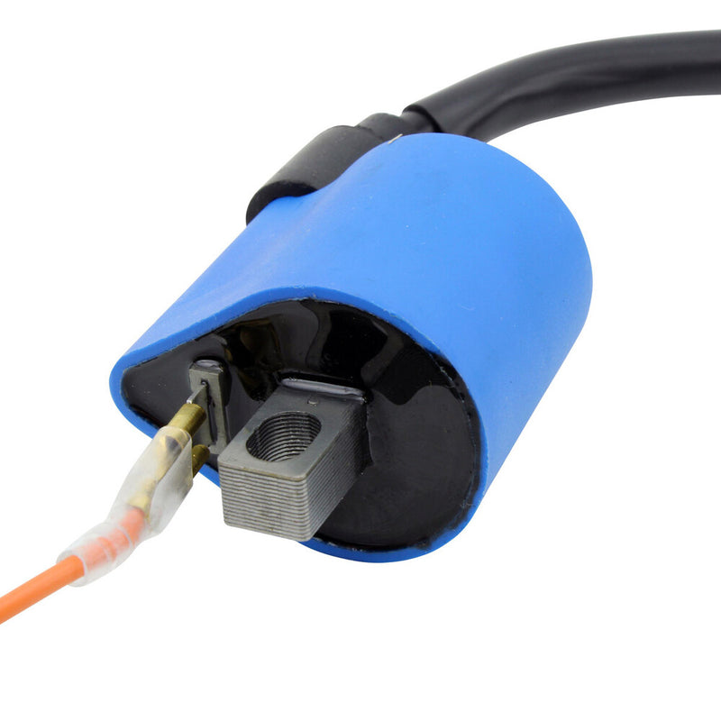 Rm Stator External Ignition Coil W Spark Plug CAP - RM06003 Suzuki 125 / 100 1982-1990