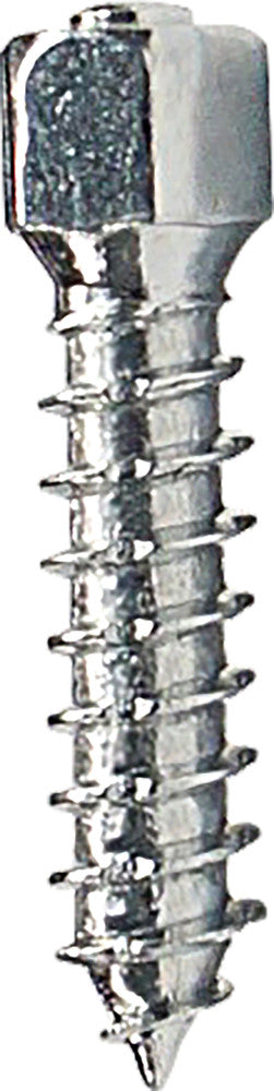 Woody's 18-31012-100 WST-0625-100 ATTACK TWIST SCREWS 25MM 100/PK