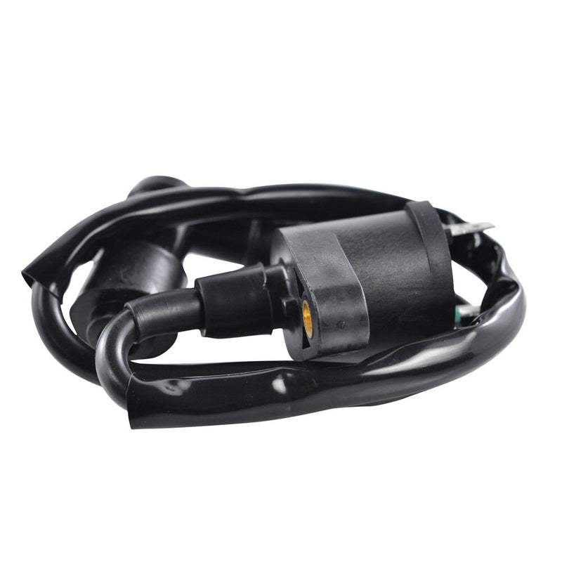 Rm Stator 97-0049 RM06001 EXTERNAL IGNITION COIL W/SPARK PLUG CAP