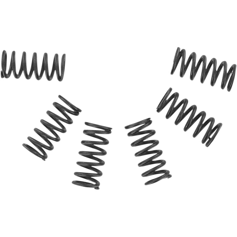 Ebc CSK Series Spring Kit - CSK2 For Aprilia 125 2009-2011 | Suzuki 50 1978-2001