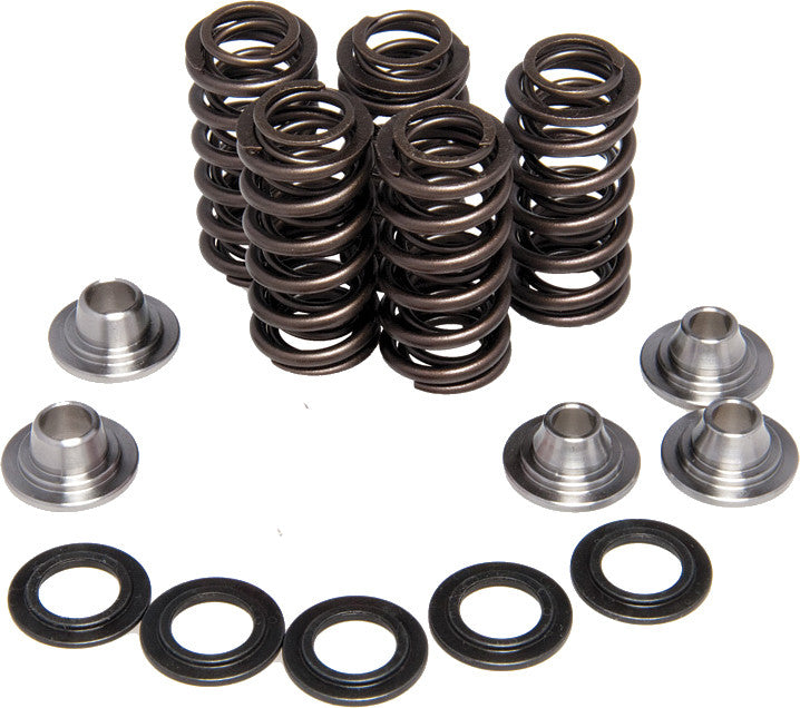 Kpmi 191-21012 30-30720 RACING VALVE SPRING KIT