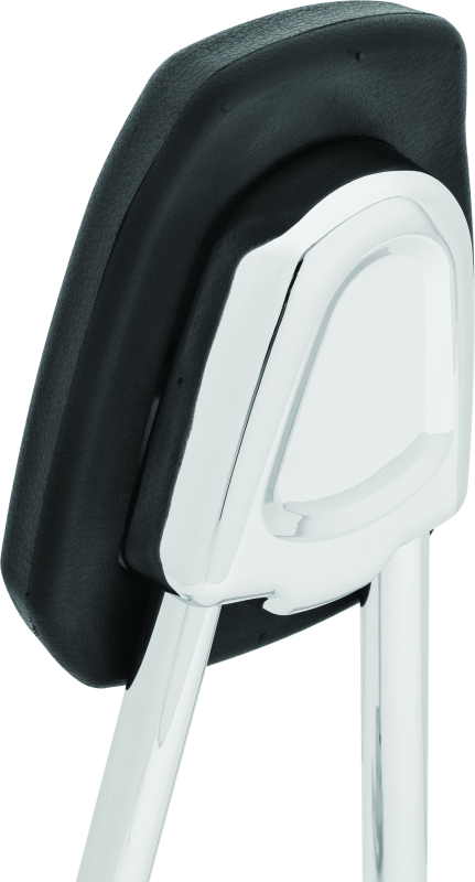 Kuryakyn 6582 Sissy Bar For Sportster Chrome - User 3