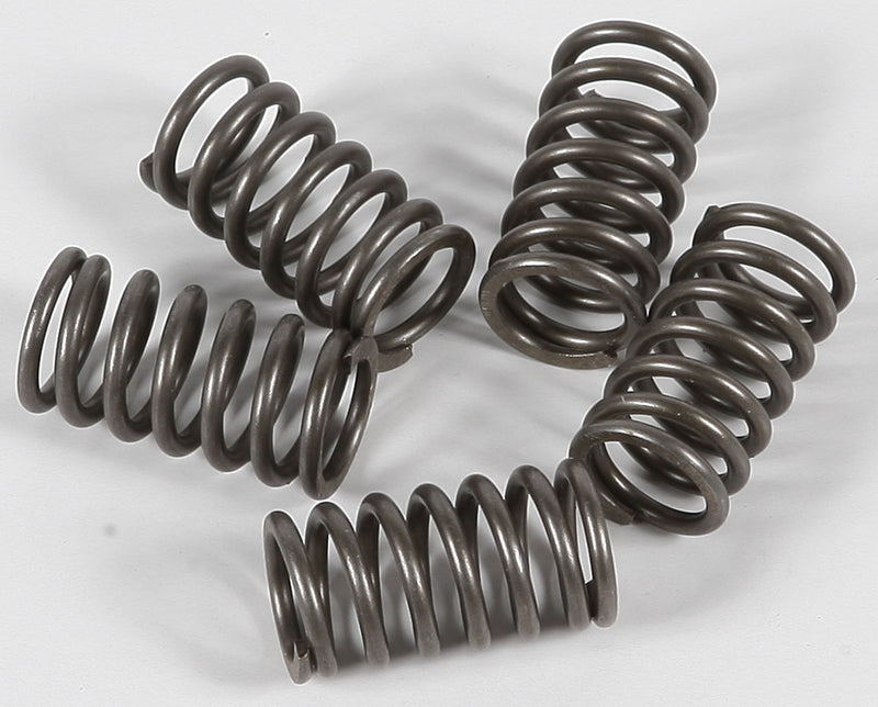 Ebc Clutch Springs - CSK118 Triumph Rocket 2004-2009