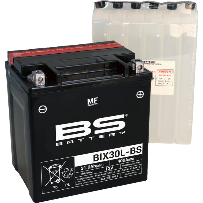 BS BATTERY 2113-0877 300753 Maintenance-Free Battery Battery - BIX30L-BS (YIX)