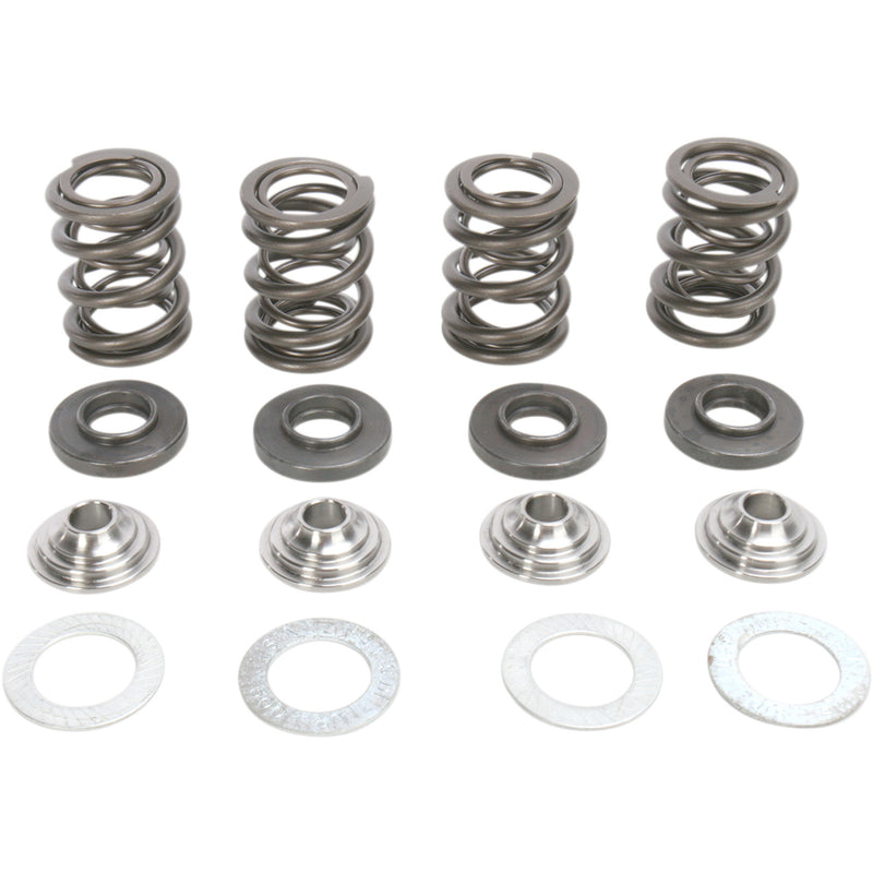 KIBBLEWHITE 0926-1696 96-96000 Valve Spring Kit Spring Kit