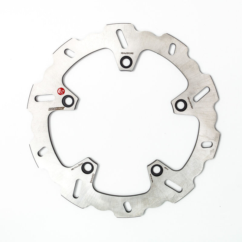 Braking Rotor Rear - BW06RID BMW Motorcycles 2004-2021